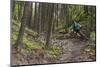 Mountain Biking the Whitefish Trail Near Whitefish, Montana, USA-Chuck Haney-Mounted Photographic Print