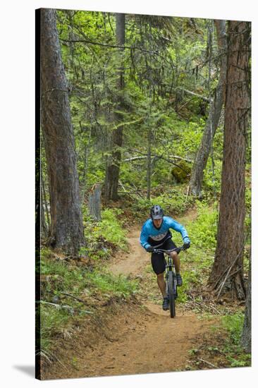 Mountain Biking the Whitefish Trail Near Whitefish, Montana, USA-Chuck Haney-Stretched Canvas