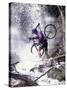 Mountain Biking, Vail, Colorado, USA-Lee Kopfler-Stretched Canvas