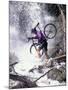 Mountain Biking, Vail, Colorado, USA-Lee Kopfler-Mounted Photographic Print