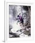 Mountain Biking, Vail, Colorado, USA-Lee Kopfler-Framed Photographic Print