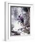 Mountain Biking, Vail, Colorado, USA-Lee Kopfler-Framed Photographic Print