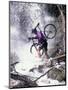 Mountain Biking, Vail, Colorado, USA-Lee Kopfler-Mounted Photographic Print