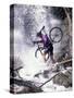 Mountain Biking, Vail, Colorado, USA-Lee Kopfler-Stretched Canvas