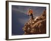 Mountain Biking-null-Framed Photographic Print