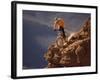 Mountain Biking-null-Framed Photographic Print