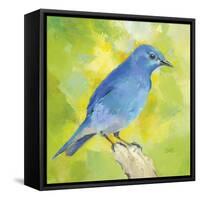 Mountain Bird-Sarah Simpson-Framed Stretched Canvas