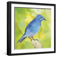 Mountain Bird-Sarah Simpson-Framed Art Print