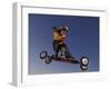 Mountain Boarder in Action, Colorado Springs, Colorado, USA-null-Framed Photographic Print