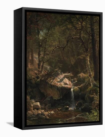 Mountain Brook, 1863-Albert Bierstadt-Framed Stretched Canvas