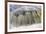 Mountain brook 'Kleine Ohe', abstract view of flowing water, blurred movement, Bayerischer Wald-Fritz Polking-Framed Photographic Print