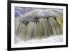 Mountain brook 'Kleine Ohe', abstract view of flowing water, blurred movement, Bayerischer Wald-Fritz Polking-Framed Photographic Print