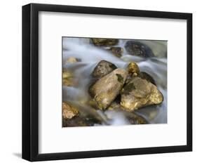 Mountain brook on the Peri?nik Falls, Vratatal, Triglav national park, Slovenia-Michael Jaeschke-Framed Photographic Print