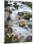 Mountain brook on the Peri?nik Falls, Vratatal, Triglav national park, Slovenia-Michael Jaeschke-Mounted Photographic Print