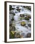 Mountain brook on the Peri?nik Falls, Vratatal, Triglav national park, Slovenia-Michael Jaeschke-Framed Photographic Print