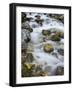 Mountain brook on the Peri?nik Falls, Vratatal, Triglav national park, Slovenia-Michael Jaeschke-Framed Photographic Print