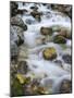 Mountain brook on the Peri?nik Falls, Vratatal, Triglav national park, Slovenia-Michael Jaeschke-Mounted Photographic Print