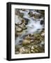 Mountain brook on the Peri?nik Falls, Vratatal, Triglav national park, Slovenia-Michael Jaeschke-Framed Photographic Print