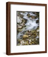 Mountain brook on the Peri?nik Falls, Vratatal, Triglav national park, Slovenia-Michael Jaeschke-Framed Photographic Print