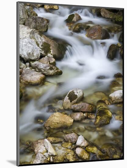 Mountain brook on the Peri?nik Falls, Vratatal, Triglav national park, Slovenia-Michael Jaeschke-Mounted Photographic Print