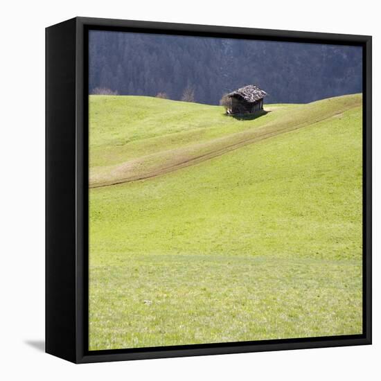 Mountain Cabin-Parque-Framed Stretched Canvas