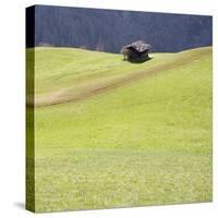 Mountain Cabin-Parque-Stretched Canvas