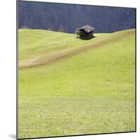 Mountain Cabin-Parque-Mounted Photographic Print