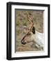 Mountain Caribou Migrating in Early Spring in the Cariboo Mts of B.C-Richard Wright-Framed Photographic Print