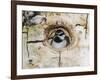 Mountain Chickadee in Aspen Tree, Rocky Mountain National Park, Colorado, USA-Rolf Nussbaumer-Framed Premium Photographic Print