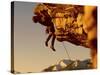 Mountain Climber Hanging from a Rock-null-Stretched Canvas
