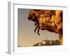 Mountain Climber Hanging from a Rock-null-Framed Photographic Print