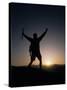 Mountain Climber Rejoices at the Summit at Sunrise-null-Stretched Canvas