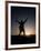 Mountain Climber Rejoices at the Summit at Sunrise-null-Framed Photographic Print