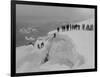 Mountain Climbers Ascending Mount Baker, 1908-Asahel Curtis-Framed Giclee Print