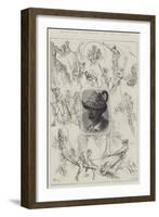 Mountain Climbing in the Tyrol-Frank Feller-Framed Giclee Print