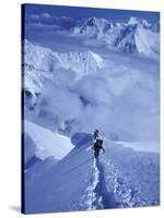 Mountain Climbing on Denali, Alaska, USA-Lee Kopfler-Stretched Canvas