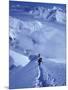 Mountain Climbing on Denali, Alaska, USA-Lee Kopfler-Mounted Premium Photographic Print