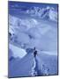 Mountain Climbing on Denali, Alaska, USA-Lee Kopfler-Mounted Photographic Print