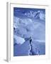Mountain Climbing on Denali, Alaska, USA-Lee Kopfler-Framed Photographic Print