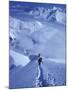 Mountain Climbing on Denali, Alaska, USA-Lee Kopfler-Mounted Photographic Print