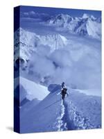 Mountain Climbing on Denali, Alaska, USA-Lee Kopfler-Stretched Canvas