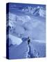 Mountain Climbing on Denali, Alaska, USA-Lee Kopfler-Stretched Canvas