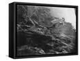 Canvas Black
