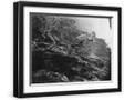 Black Frame