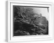 White Frame