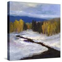 Mountain Colors II-Sheila Finch-Stretched Canvas