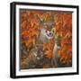 Mountain Colors-Graeme Stevenson-Framed Giclee Print