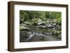 Mountain creek flowing through dense forest woods near the Appalachian Trail, North Carolina, Unite-Jon Reaves-Framed Photographic Print