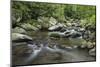 Mountain creek flowing through dense forest woods near the Appalachian Trail, North Carolina, Unite-Jon Reaves-Mounted Photographic Print