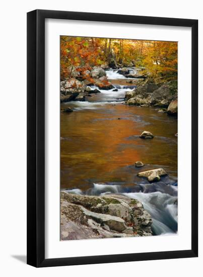 Mountain creek with fall colors, Smoky Mountains, Tennessee-Anna Miller-Framed Photographic Print